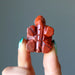 red jasper turtle
