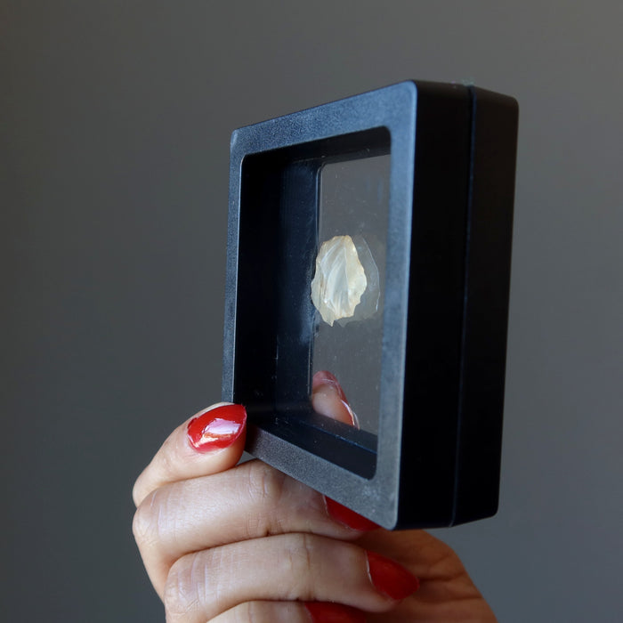 hand holding yellow libyan desert glass tektite in display case