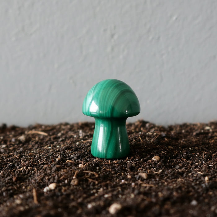malachite mushroom