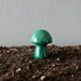 malachite mushroom