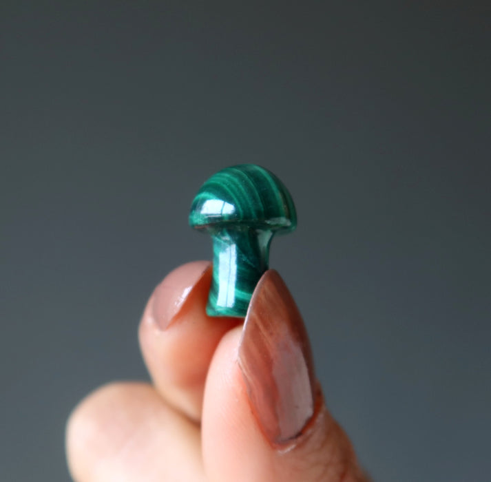 malachite mushroom