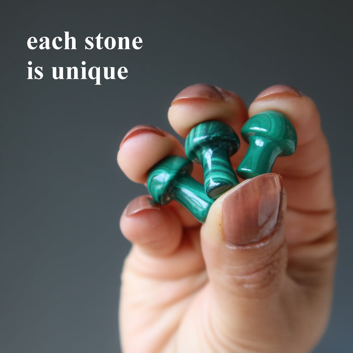 three malachite mushrooms