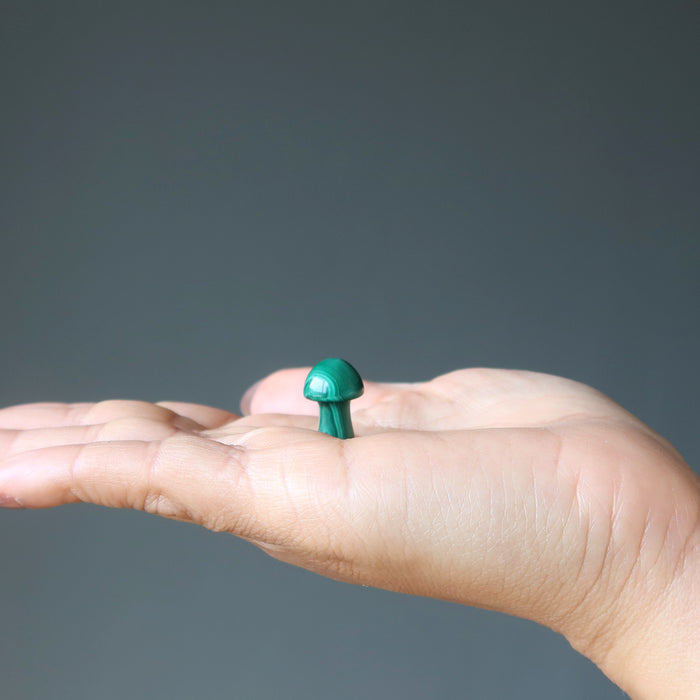 malachite mushroom in hand