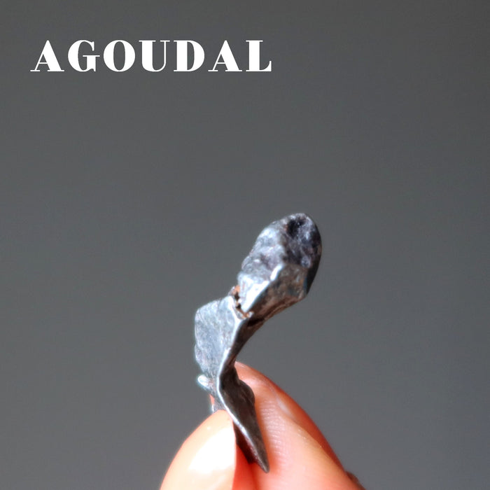 hands holding agoudal meteorite