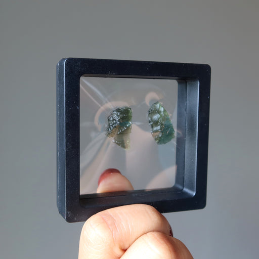 pair of moldavite rough gemstones in display case