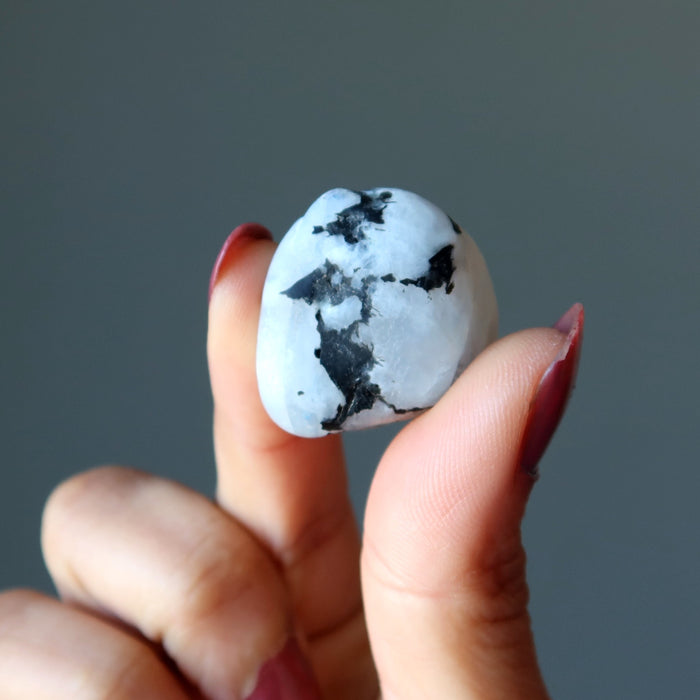 one tumbled tourmalinated moonstone 