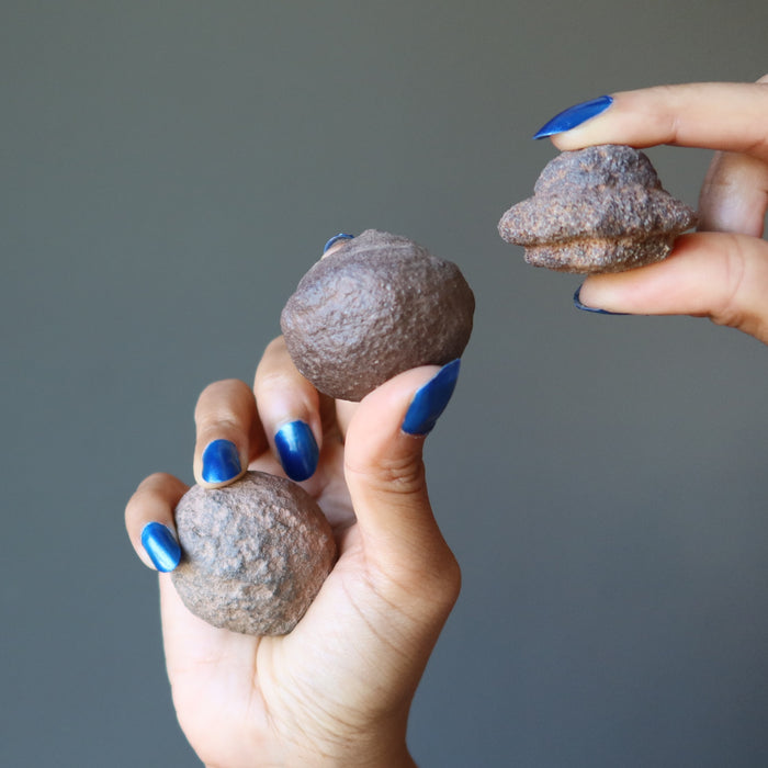 two male and one female moqui marble stones in varying sizes