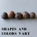 set of 5 brown moqui marble stones showing different shapes and colors