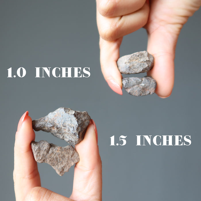 hands holding two pairs of brown rocky nwa meteorite rocks to show size difference