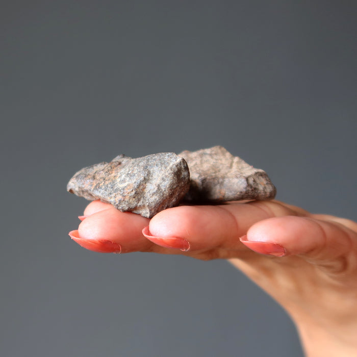 hand holding pair of nwa meteorites