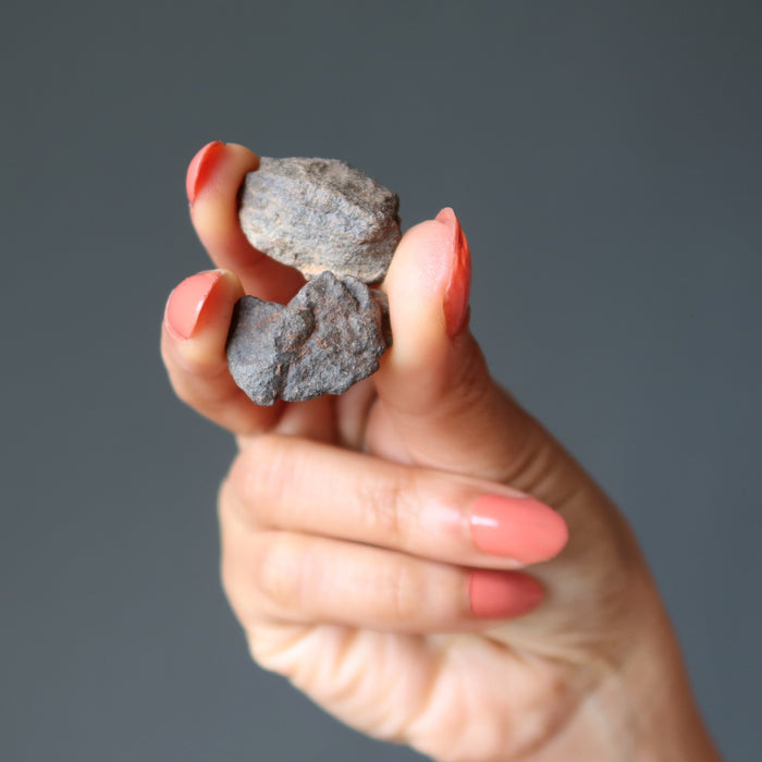 hand holding pair of nwa meteorites