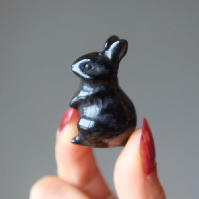 black obsidian rabbit