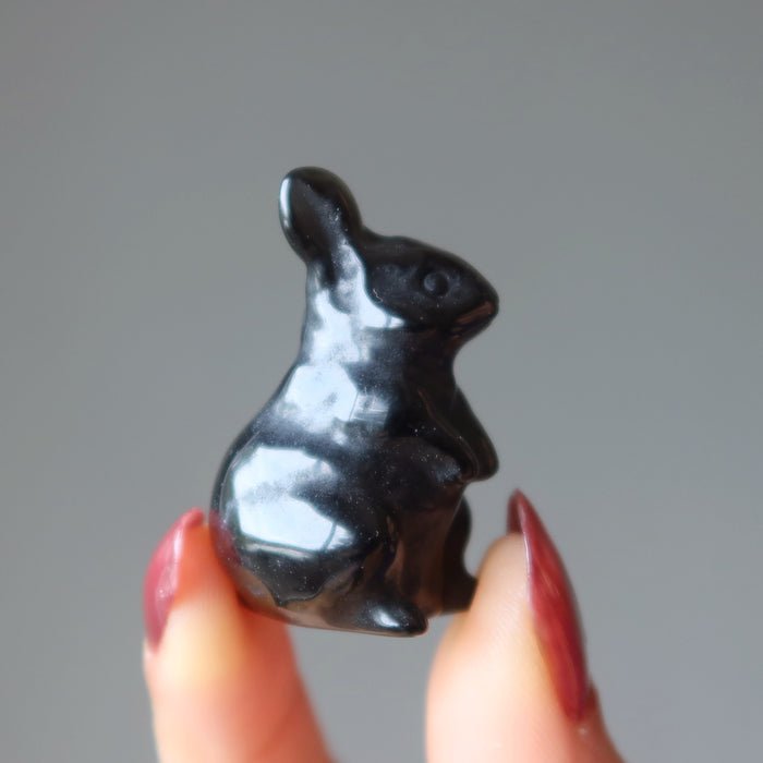 black obsidian rabbit