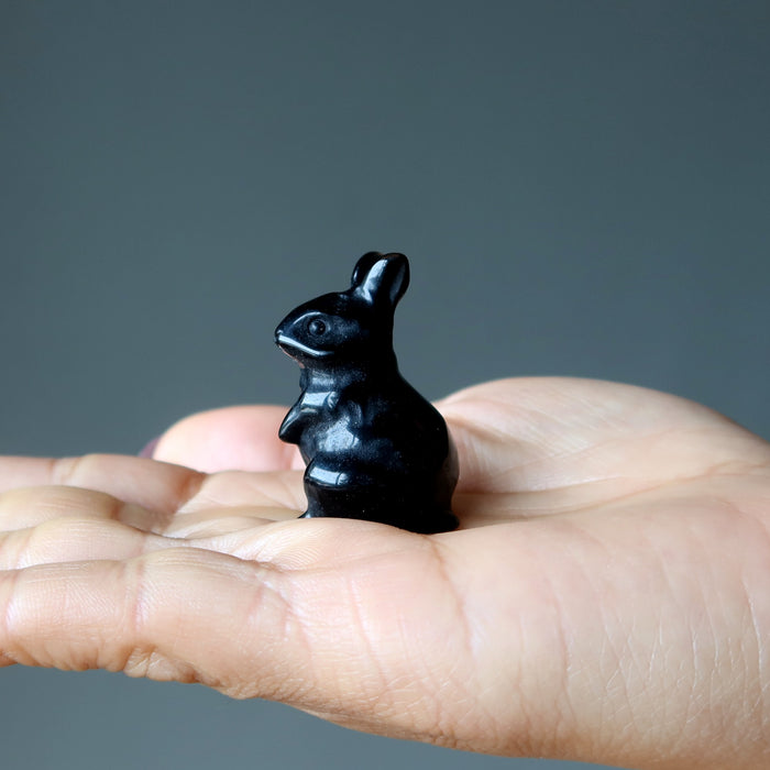 black obsidian rabbit