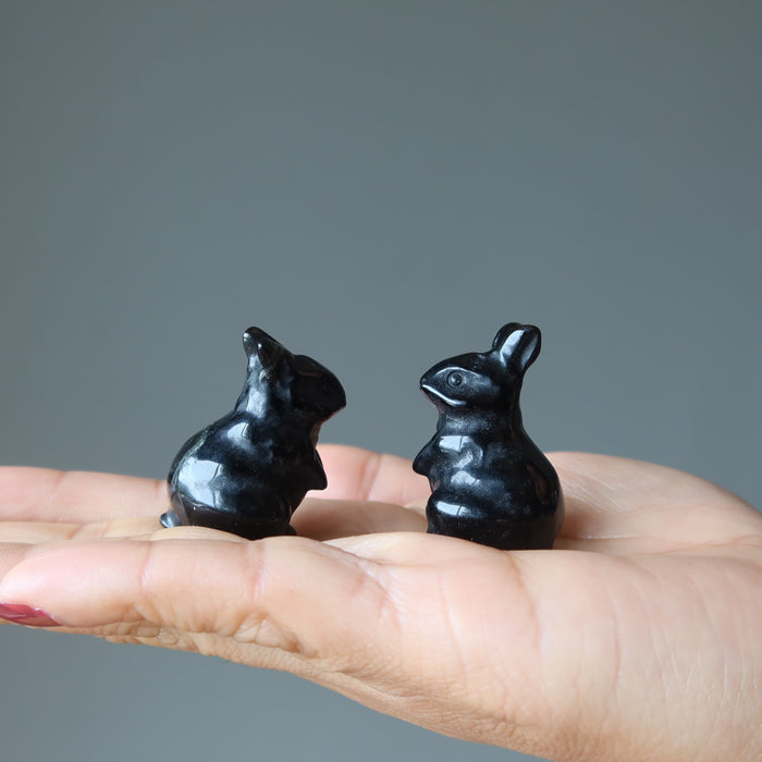 black obsidian rabbits
