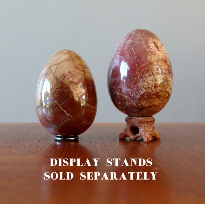 Petrified Wood Egg Timeless Strength Crystal