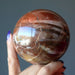 petrified wood sphere