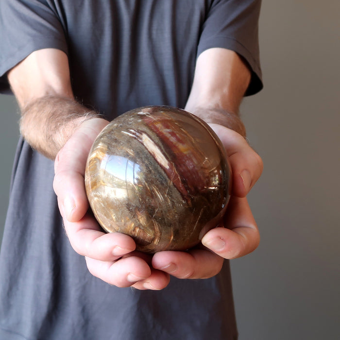 petrified wood sphere