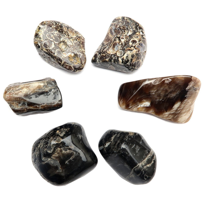 agate, onyx, petrified wood tumbled stone set