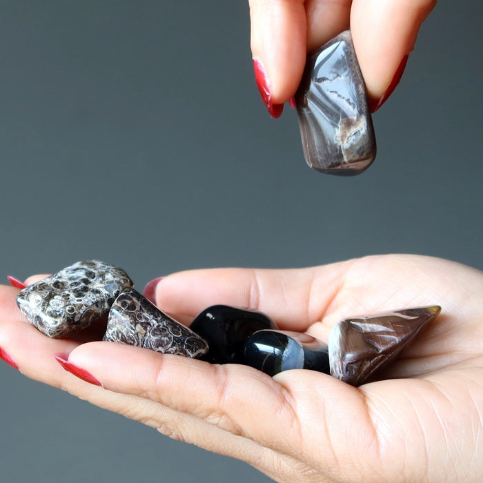 agate, onyx, petrified wood tumbled stone set