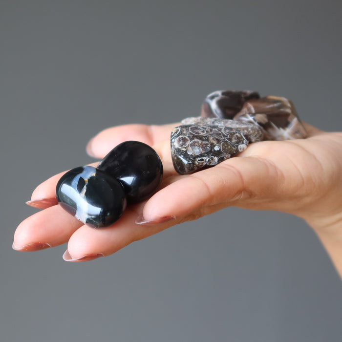 set of turitella agate, petrified wood, onyx tumbled stones