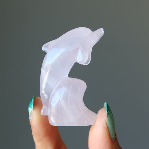 rose quartz dolphin