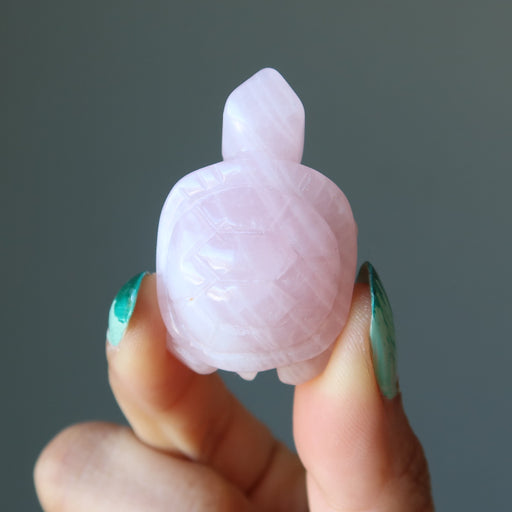 rose quartz turtle
