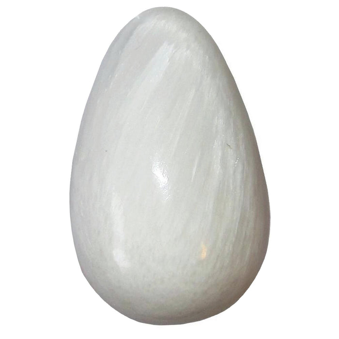 scolecite egg