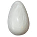 scolecite egg
