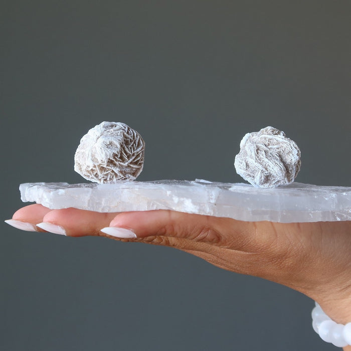 holding 2 Selenite Desert Roses on selenite plate