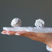 holding 2 Selenite Desert Roses on selenite plate