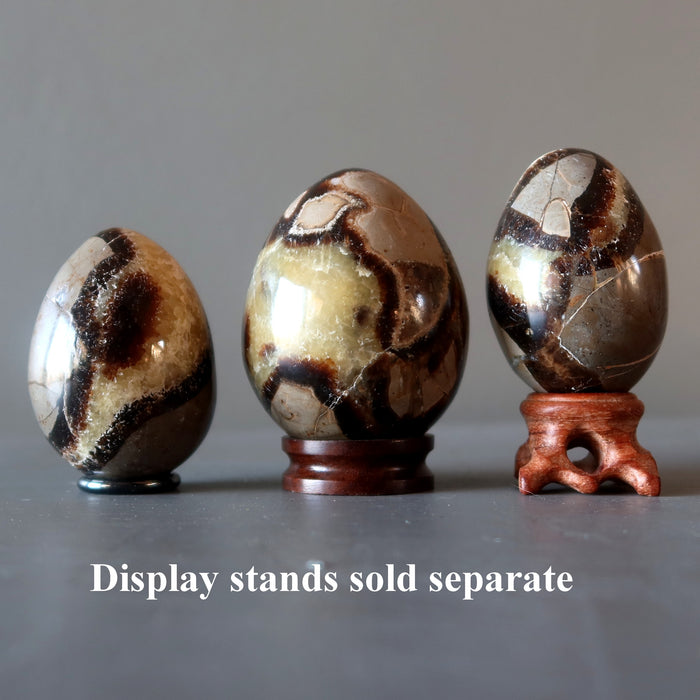 Septarian Egg A Dragon is Born Strength Stone