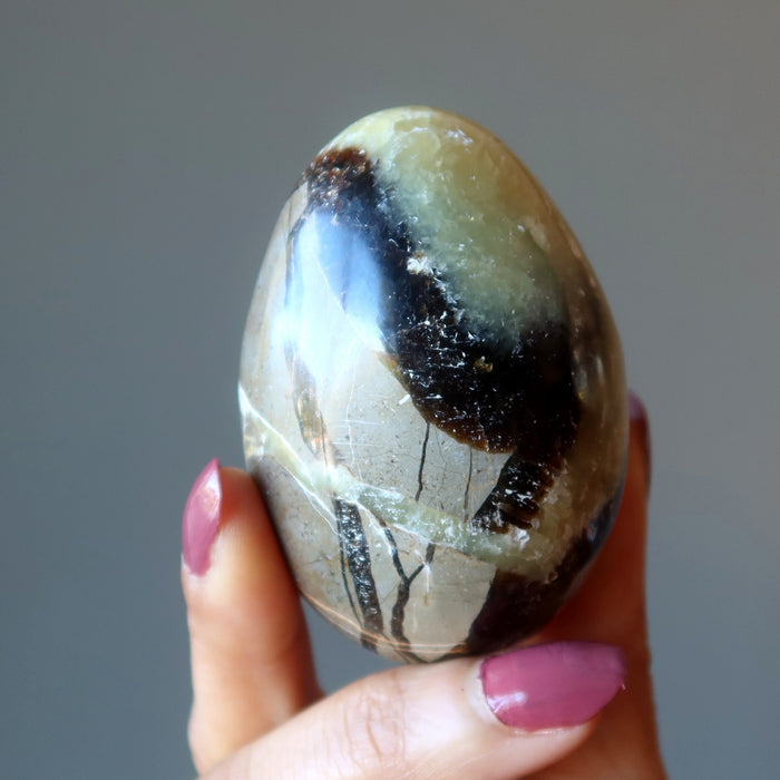 Septarian Egg A Dragon is Born Strength Stone