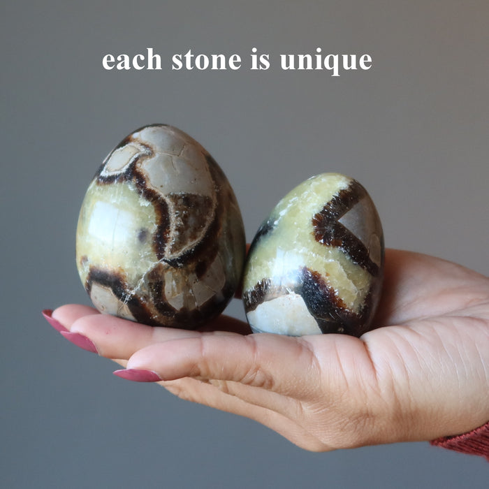 Septarian Egg A Dragon is Born Strength Stone