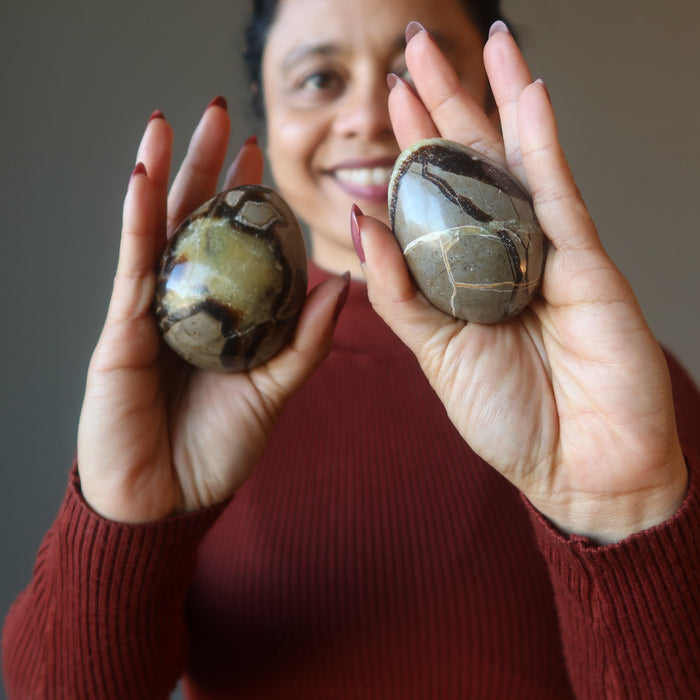 Septarian Egg A Dragon is Born Strength Stone