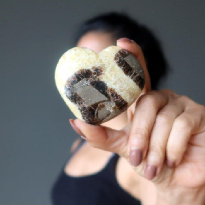 Septarian Heart Mosaic Beauty Dragon Stone