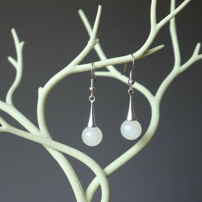 serpentine earrings hanging from branches