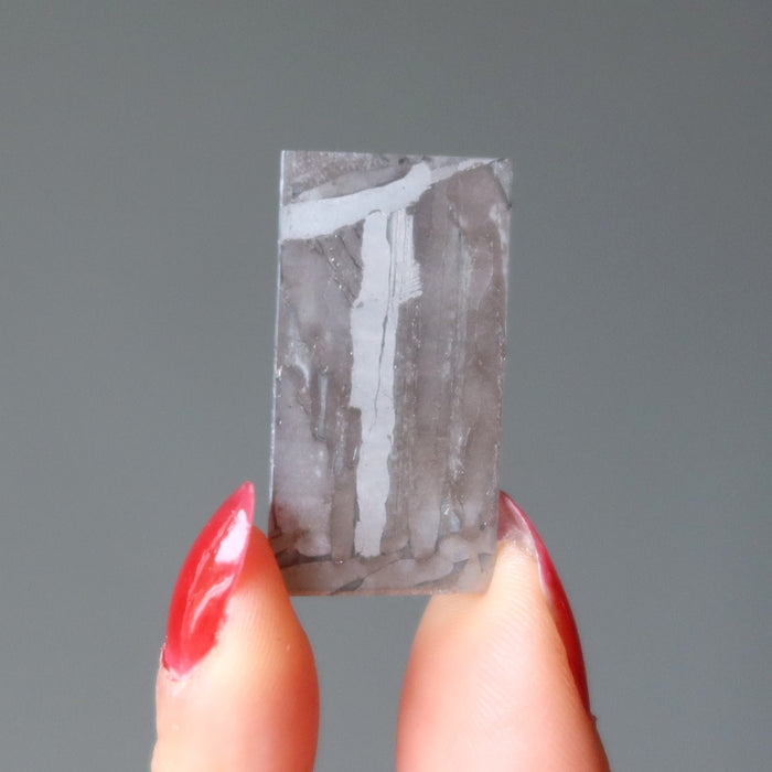 Seymchan Meteorite Silver Pallasite Doorway to Space