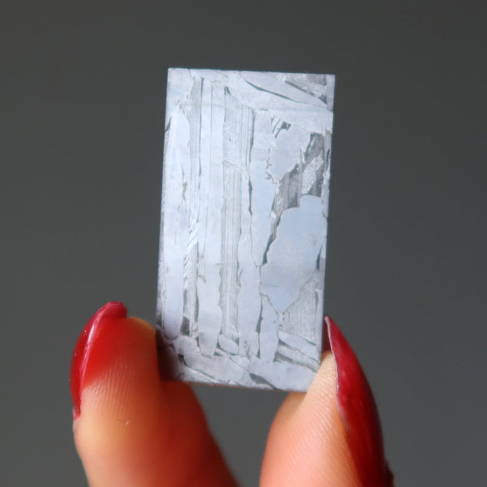 Seymchan Meteorite Silver Pallasite Doorway to Space