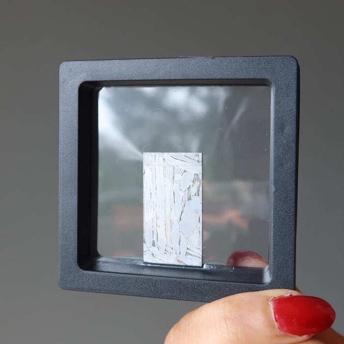 Seymchan Meteorite Silver Pallasite Doorway to Space