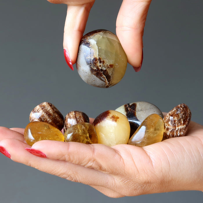 aragonite, honey calcite, septarian tumbled stones