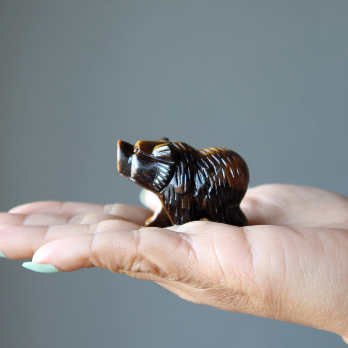 Tigers Eye Bear displayed on the palm