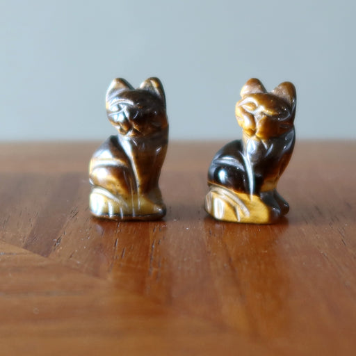2 Tigers Eye Cats