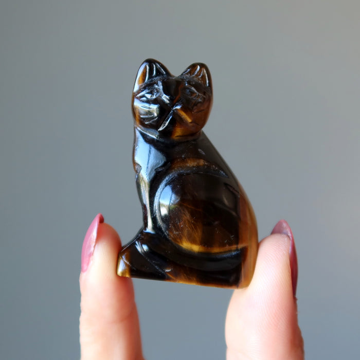 hand holding golden tigers eye cat