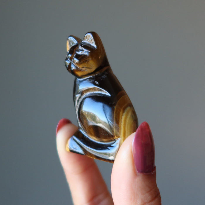 hand holding golden tigers eye cat