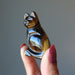 hand holding golden tigers eye cat
