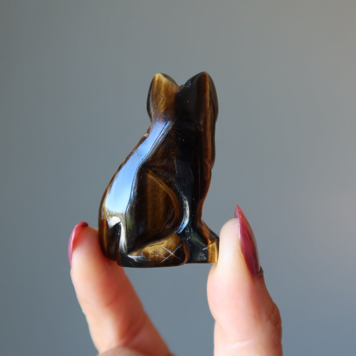 showing the back of golden tigers eye cat