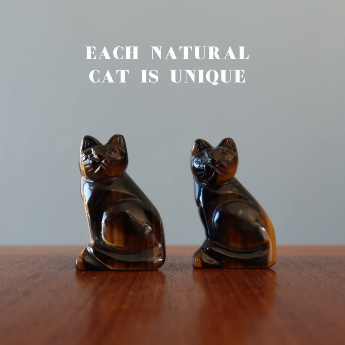 two golden tigers eye cats