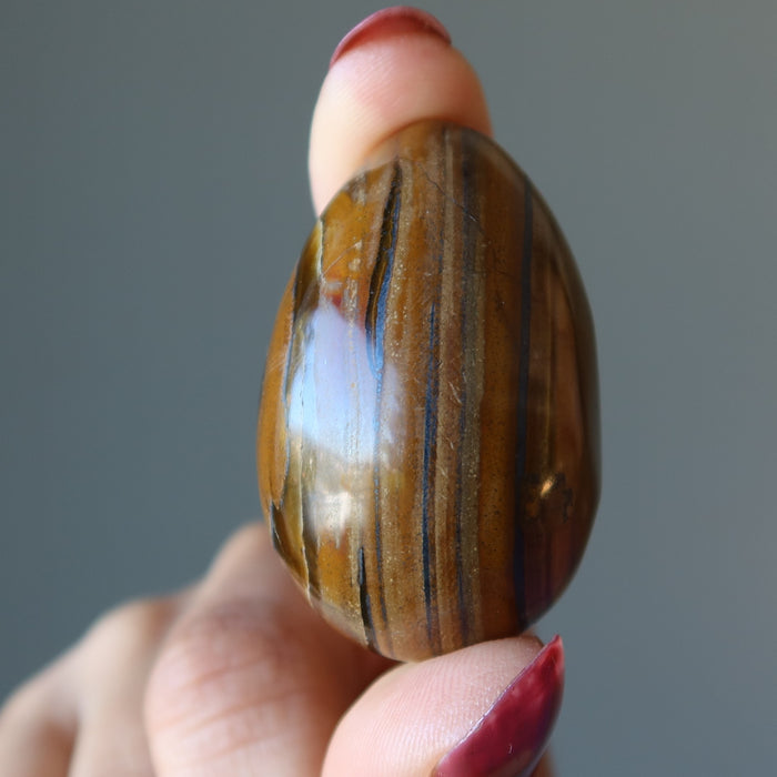 finger tips holding Tigers Eye Egg