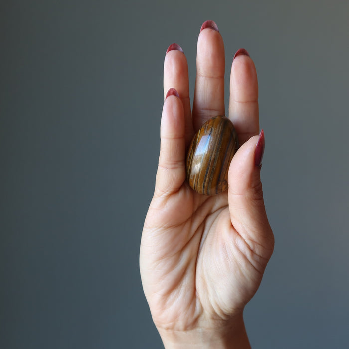 palm holding Tigers Eye Egg